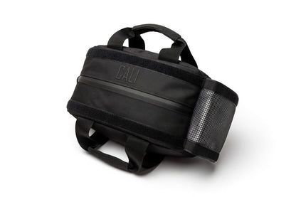 CALI Smellproof Grab Bag for Gym or Backpack insert, Carbon Lined (Black)